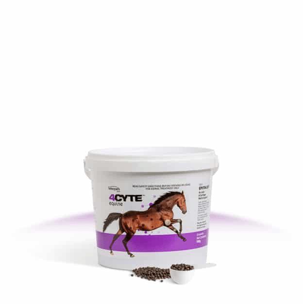 4Cyte Vet & Feed 700g 4Cyte Granules for Horses