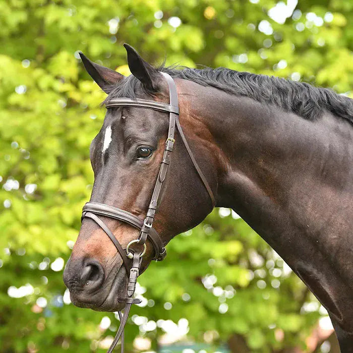 Academy Bridles Academy Snaffle Bridle
