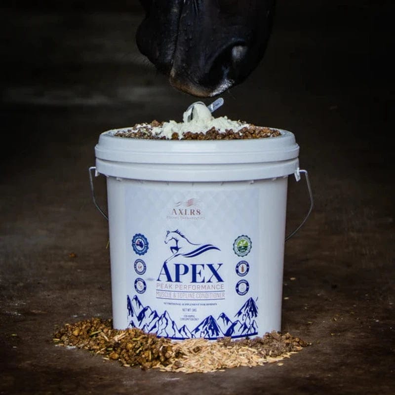 ALXR8 Vet & Feed 1kg AXLR8 Apex Muscle & Topline Conditioner
