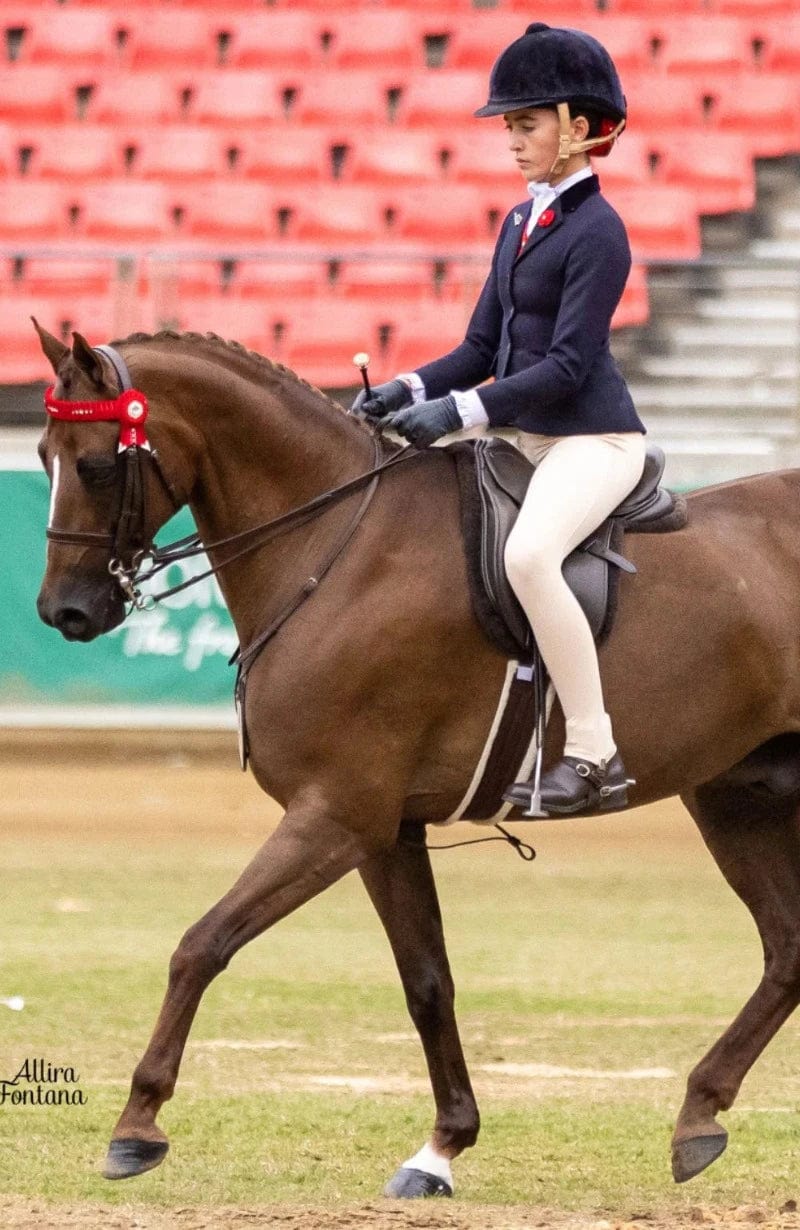 Bare Equestrian Kids Jodhpurs & Breeches BARE Equestrian Youth Competition Tights (YTH-STONE)