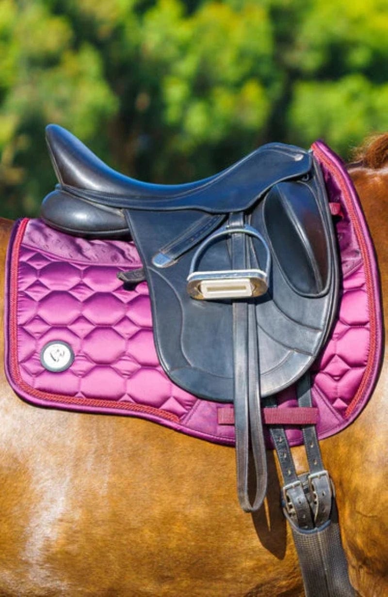 Bare Equestrian Saddle Pads English Cob / Ruby Bare Equestrian Saddle Pad Dressage Luxe Sport
