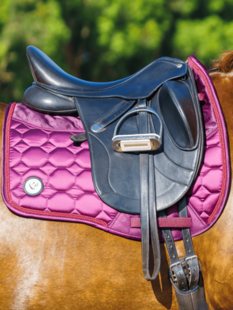 Bare Equestrian Saddle Pads English Pony / Ruby Bare Equestrian Saddle Pad Dressage Luxe Sport