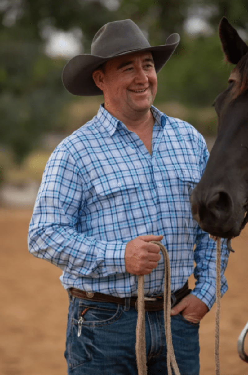 Black Colt Mens Shirts M / Blue Check Black Colt Shirt Mens Apsley Half Button