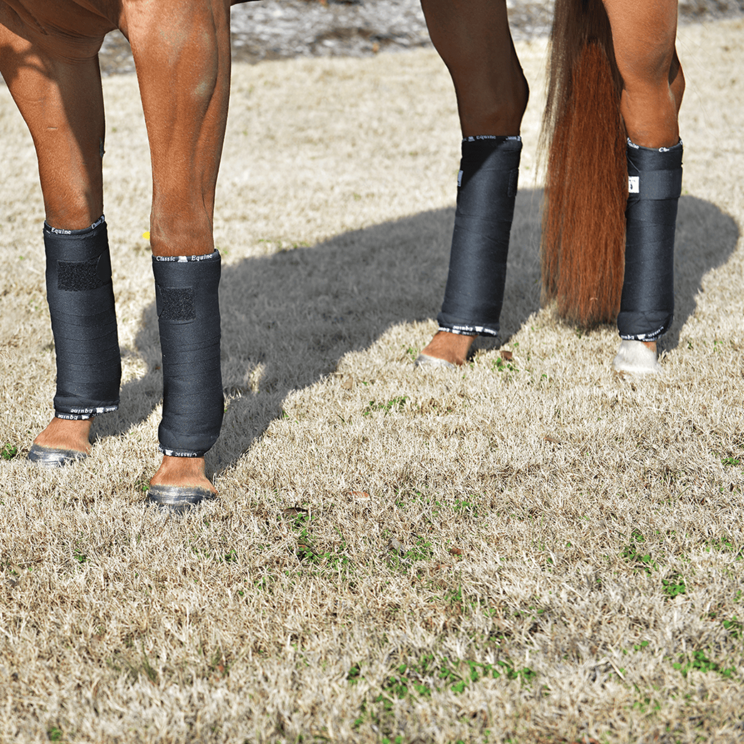 Classic Equine Horse Boots - Bandages Black Classic Equine Bandage Pad Quilted Set of 4