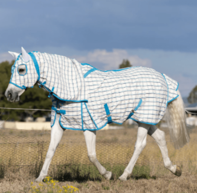 Earlwood Summer Horse Rugs 5ft9 / Turquoise/White Earlwood Hooded Combo Ripstop