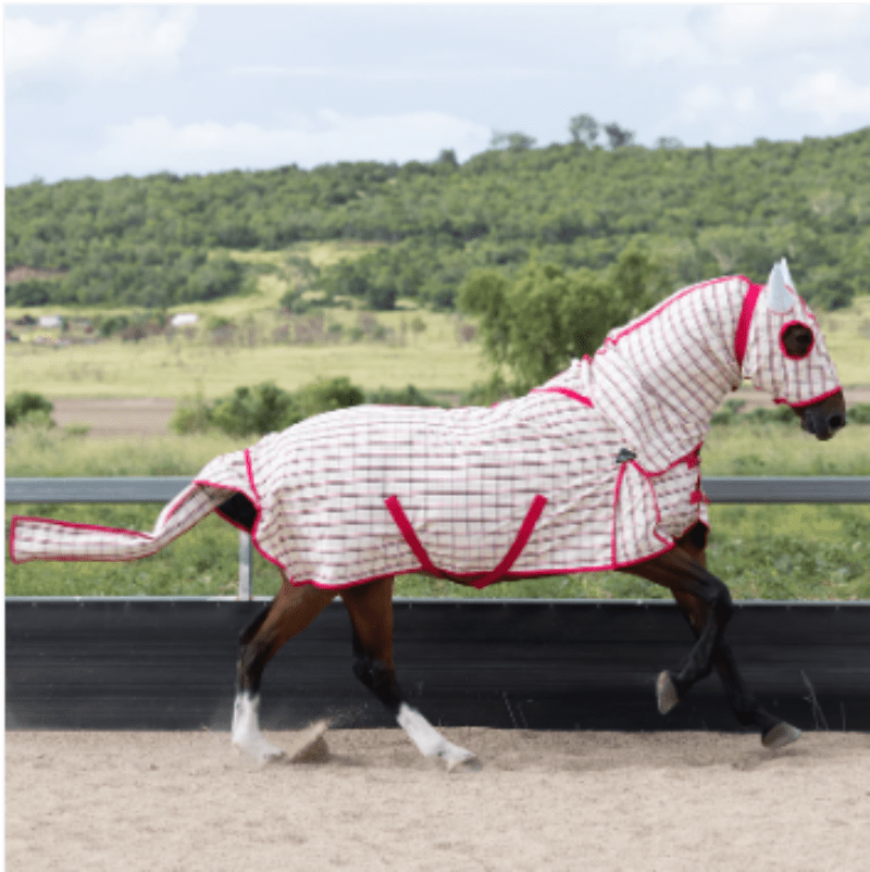 Earlwood Summer Horse Rugs Earlwood Hooded Combo Ripstop