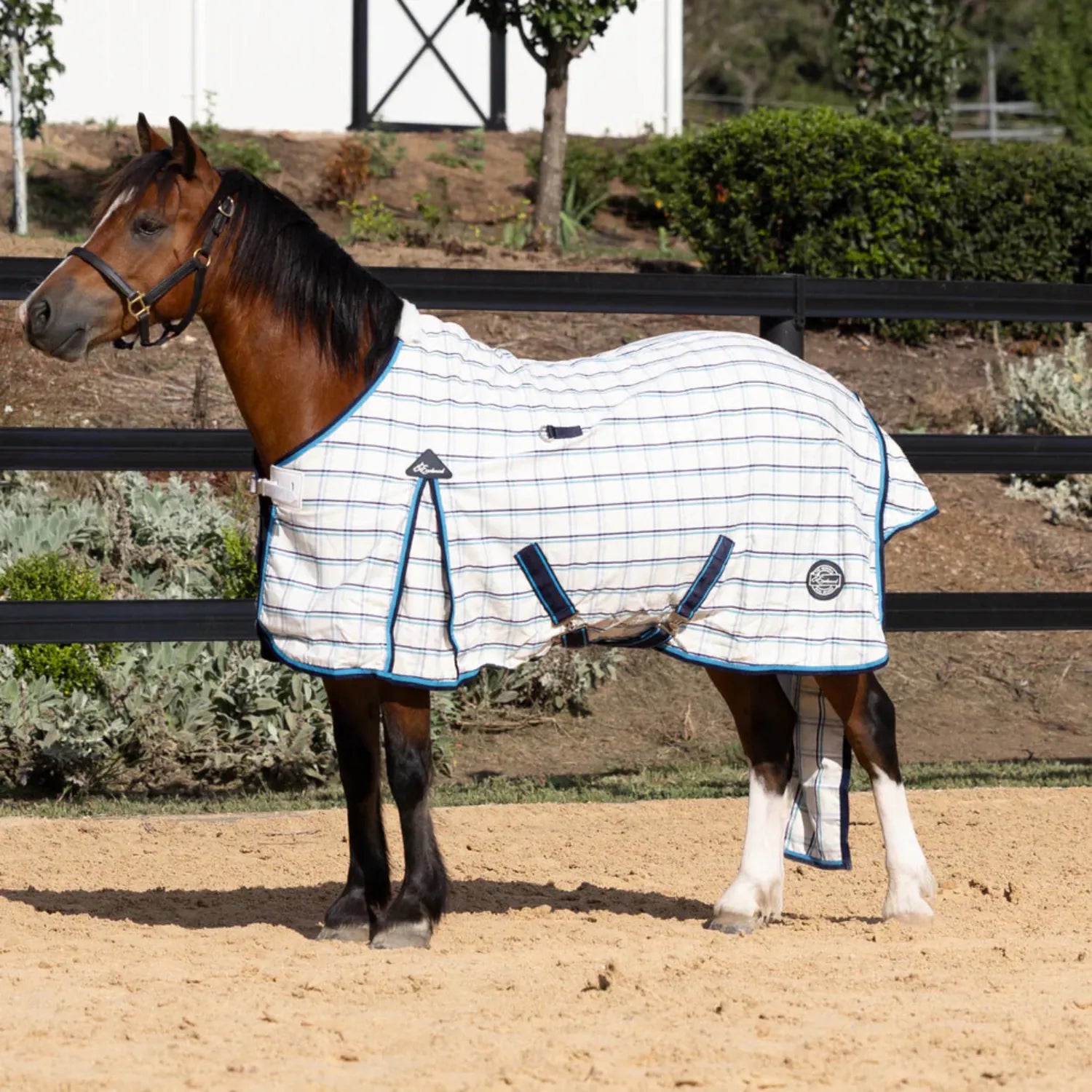 Earlwood Winter Horse Rugs 5ft6 / Navy/Teal Earlwood Rug Dual Season New Colours