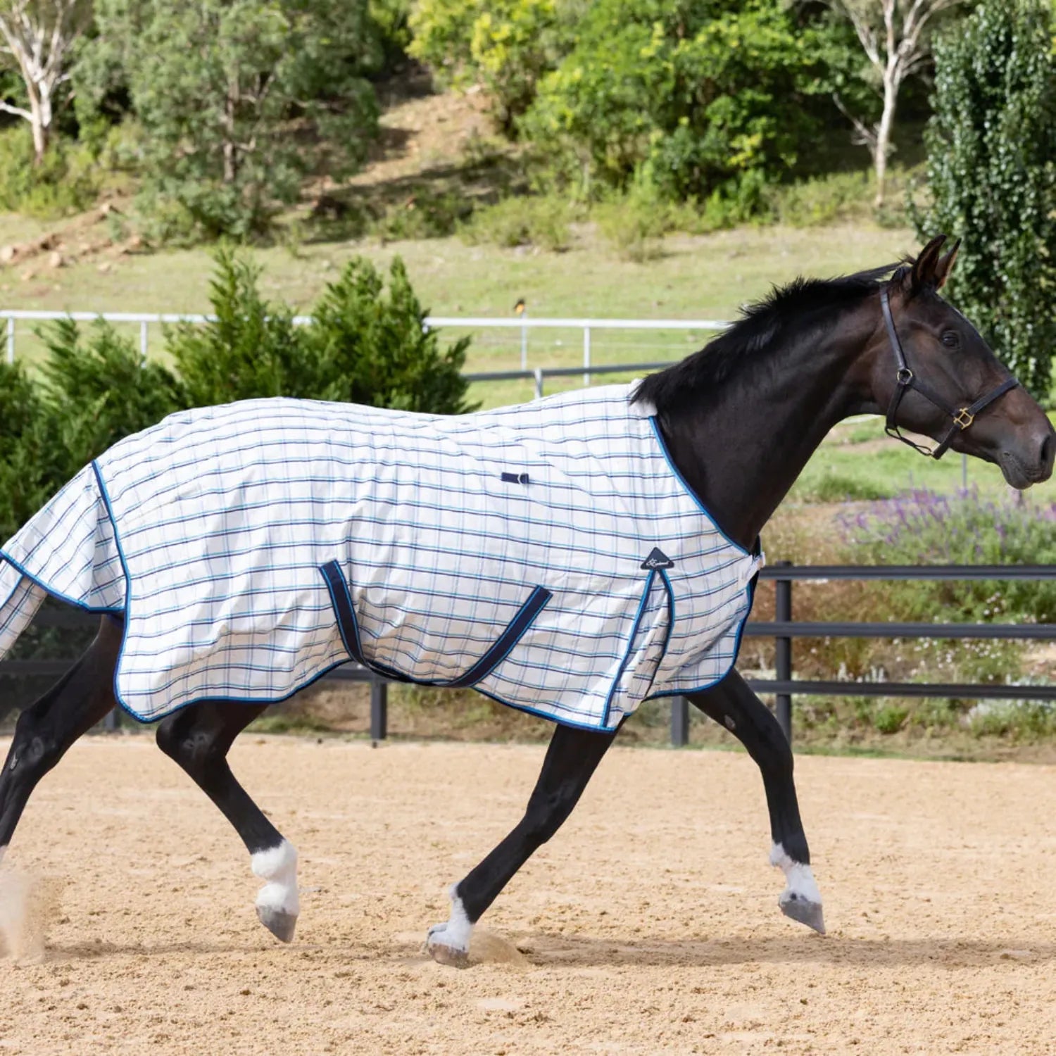 Earlwood Winter Horse Rugs 5ft6 / Navy/Teal Earlwood Rug Dual Season New Colours