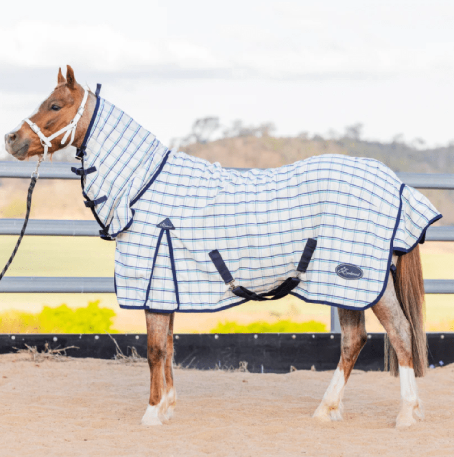 Earlwood Winter Horse Rugs 5ft9 Earlwood Dual Combo 2.0 Wool Lined