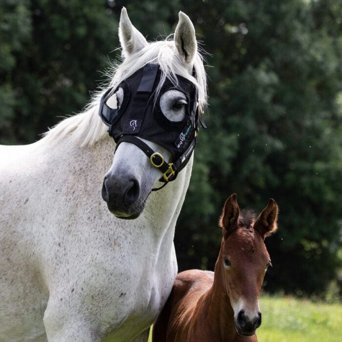 Equilume Stable - Tack Room Accessories Equilume Curragh Light Mask (Replaceable Cup) - DISPATCH 7 DAYS After ORDER