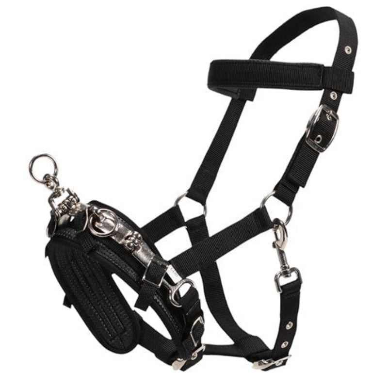 Equiprene Training Equipment Cob / Black Equi-prene Lunge Cavesson (LNG3260)