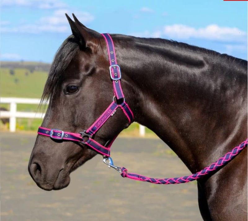 Eurohunter Halters Pony / Navy Pink Eurohunter EMB Comfort Halter & Lead Set Navy w/Pink Trim