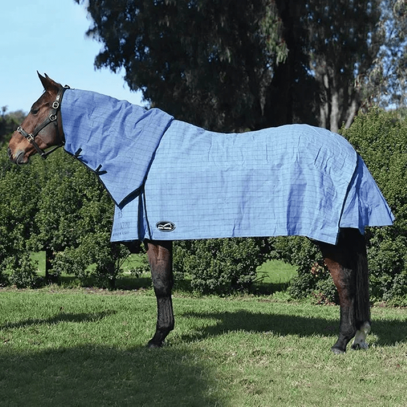 Eurohunter Winter Horse Rugs 4ft3 Eurohunter Combo Gladiator Unlined Canvas