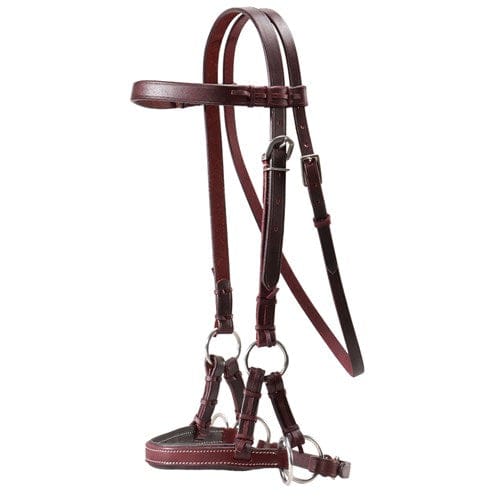 Fort Worth Bridles Latigo Fort Worth Padded Nose Side Pull Bitless Bridle