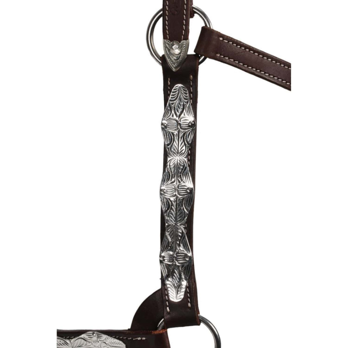 Fort Worth Halters Forth Worth Halter Ohio Show