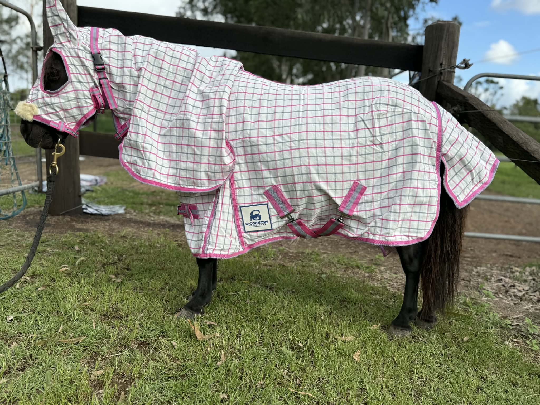 G Country Summer Horse Rugs 3ft0 / Pink/Grey Check G Country Hooded Combo Ripstop Mini