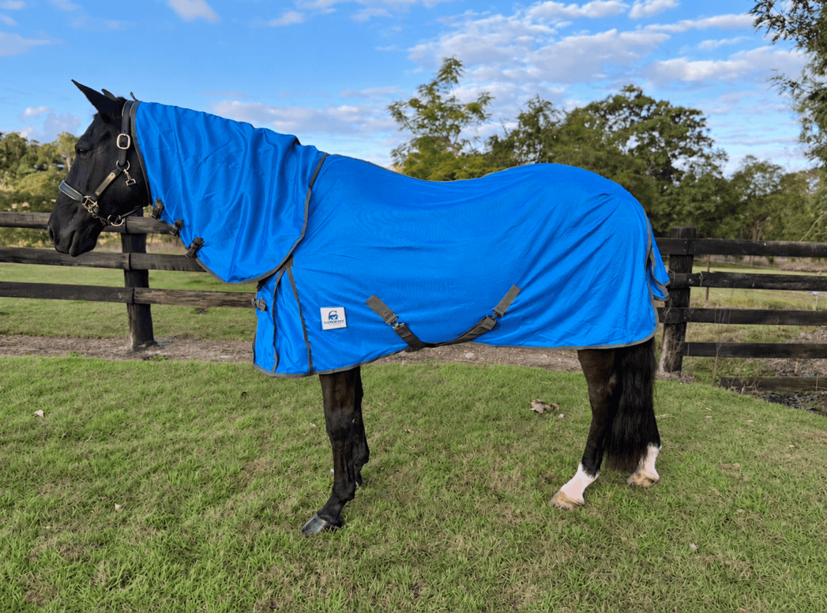 G Country Summer Horse Rugs 3ft3 / Dark Blue G Country Combo Deluxe Mesh Mini