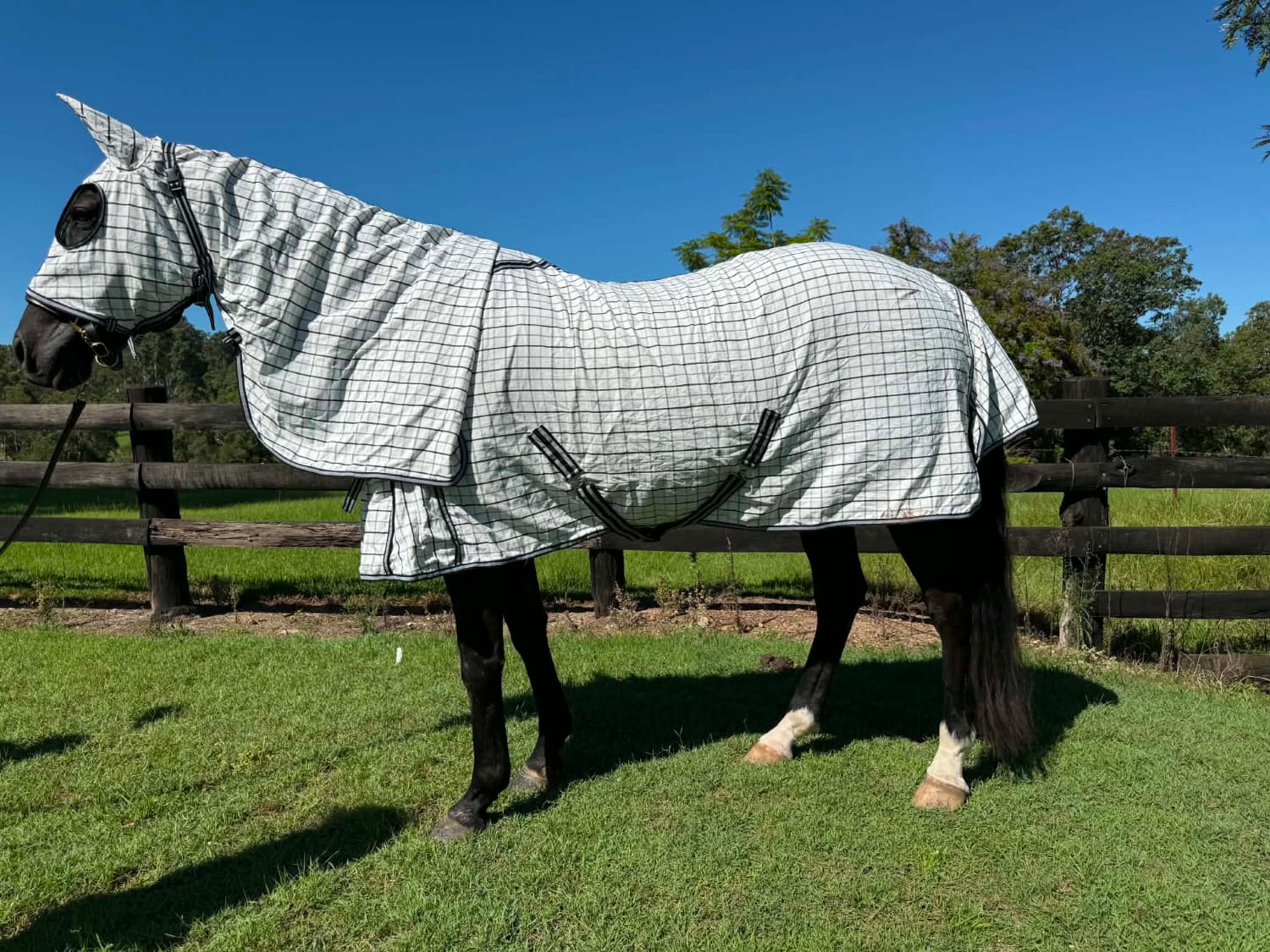 G Country Summer Horse Rugs 4ft3 / Black/Grey Check G Country Hooded Combo Ripstop