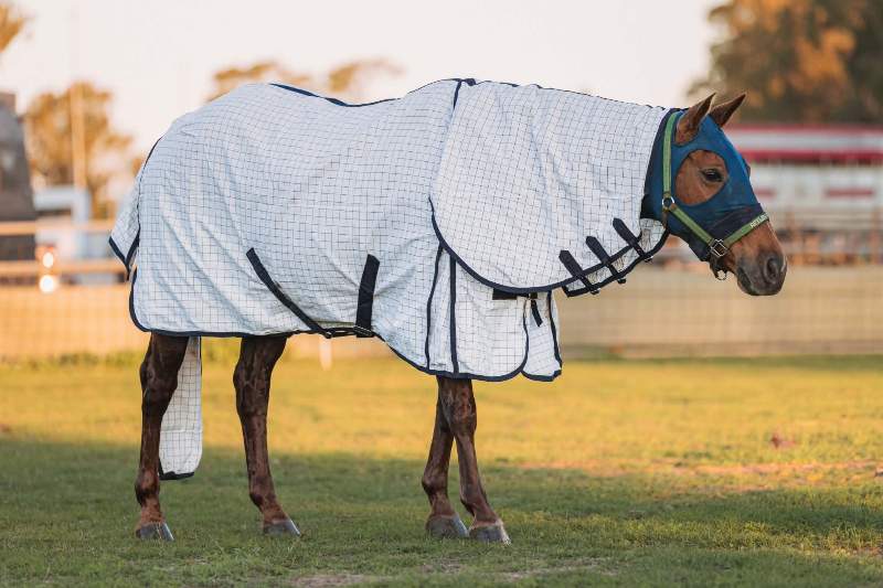 G Country Summer Horse Rugs G Country Combo Heavy-Weight