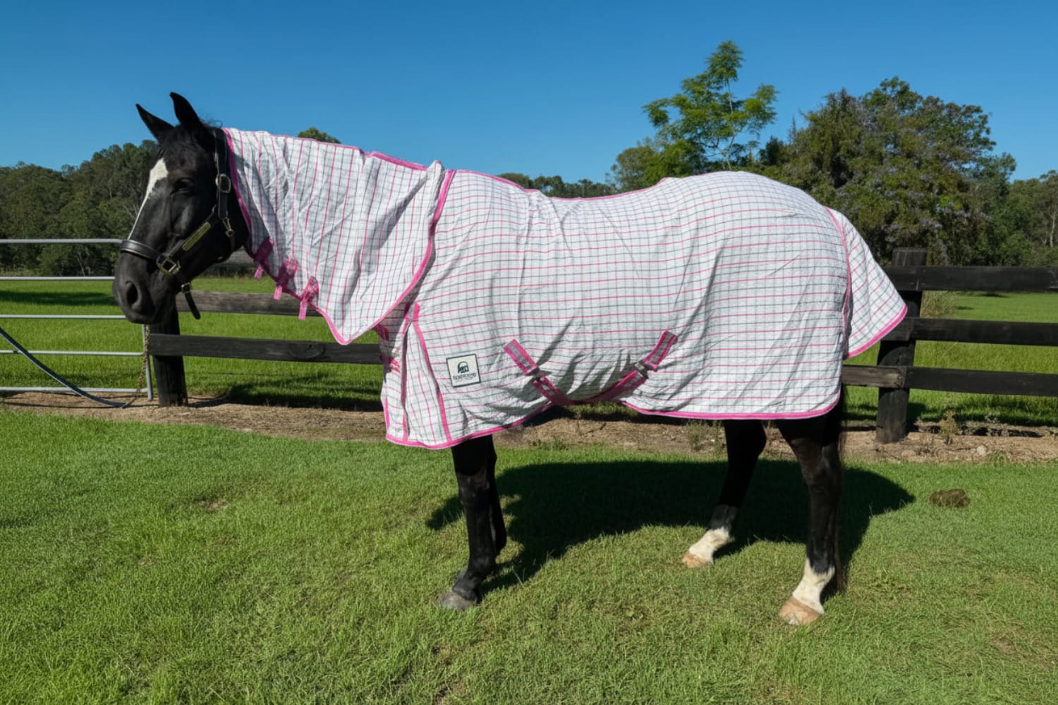 G Country Summer Horse Rugs G Country Combo Medium-Weight Ripstop Mini
