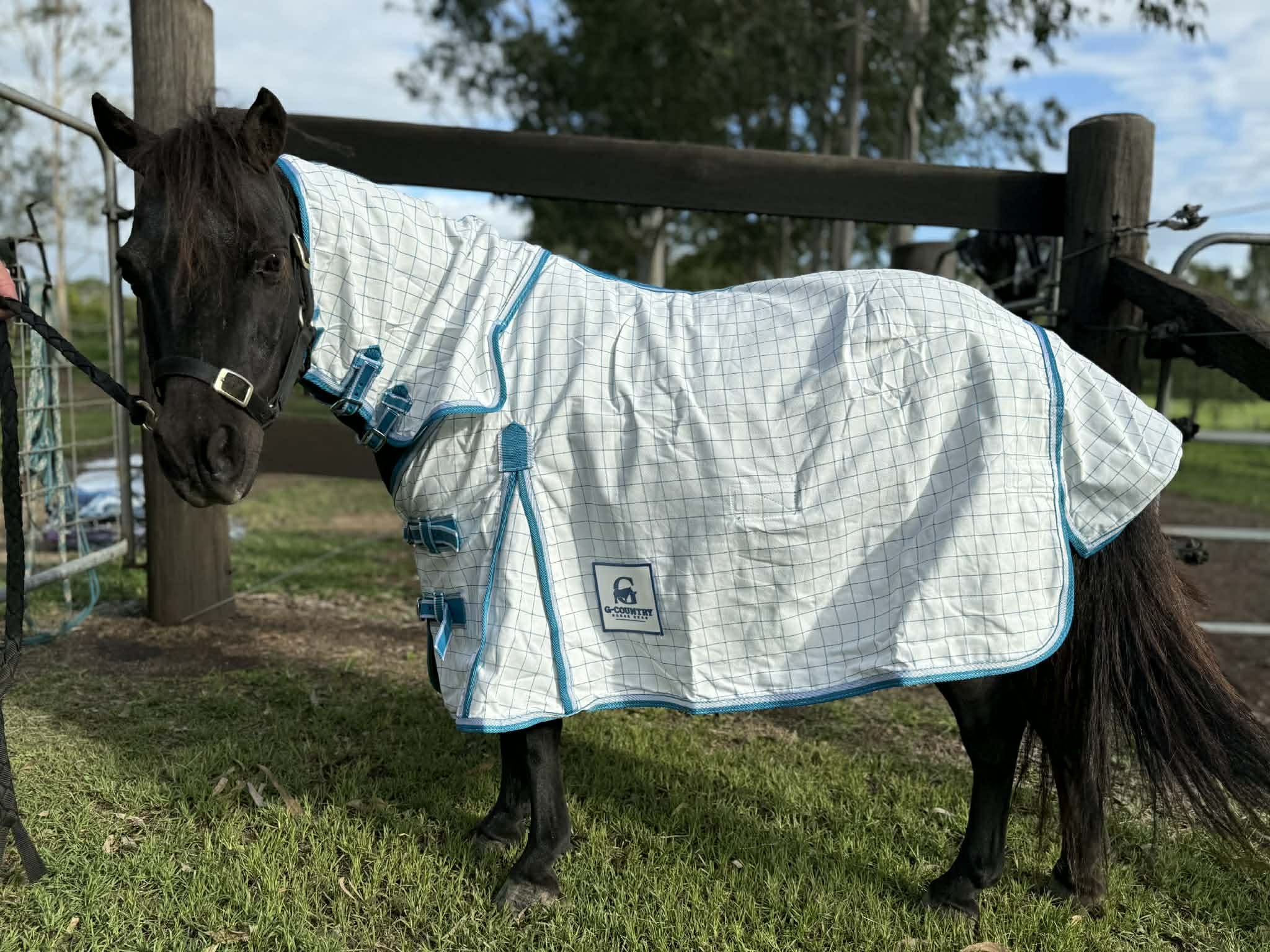 G Country Summer Horse Rugs G Country Combo Summer Mini