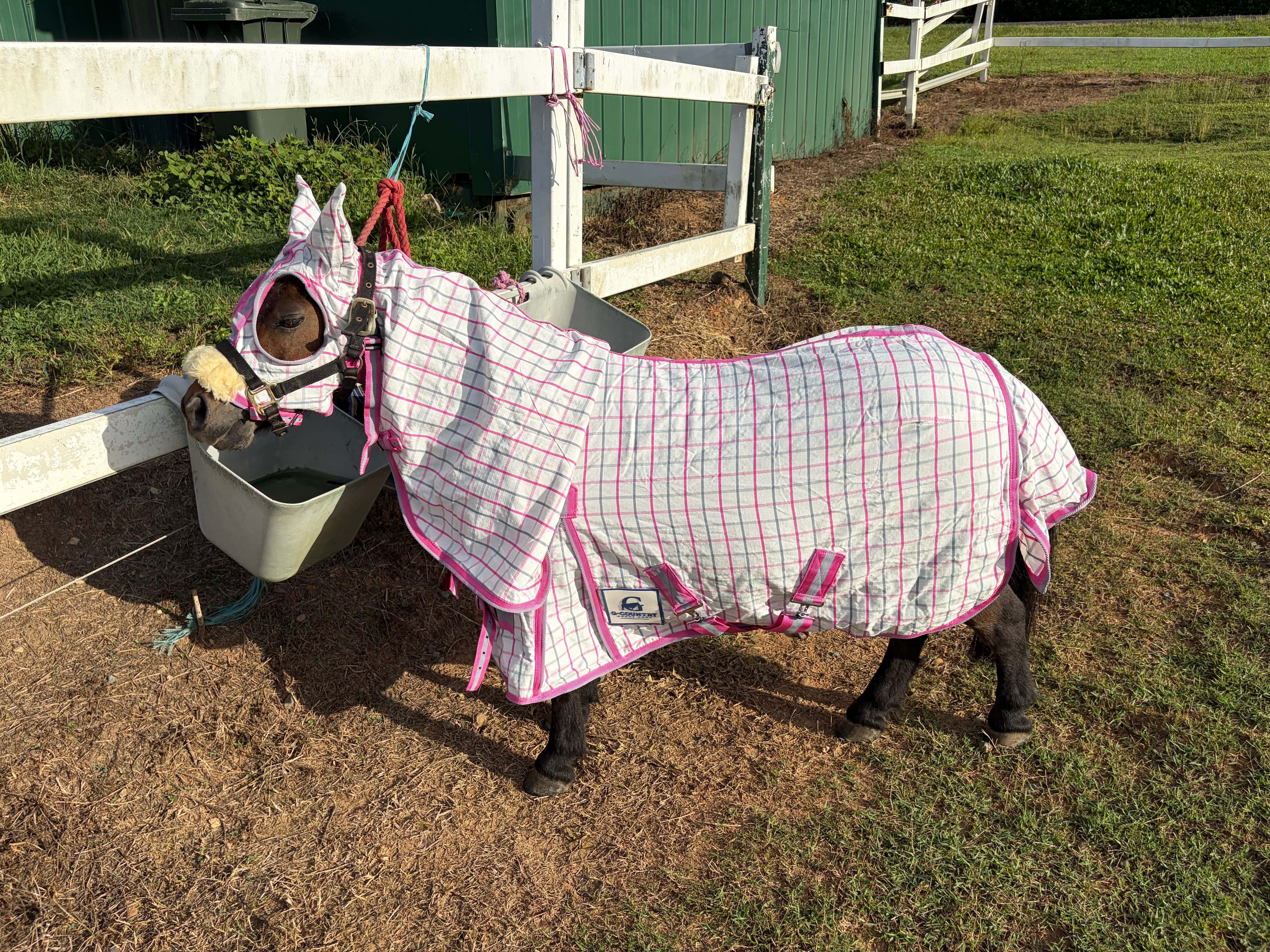G Country Summer Horse Rugs G Country Hooded Combo Ripstop Mini