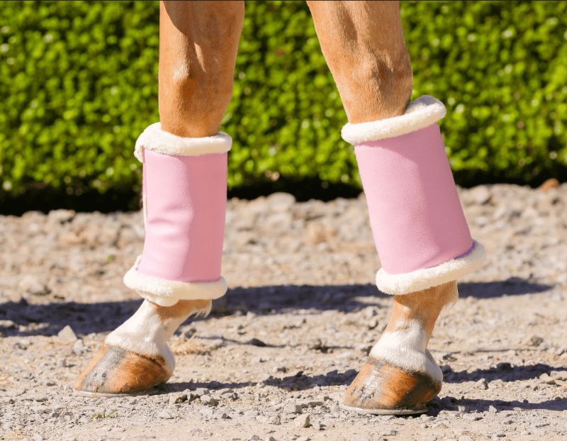 Gala Equine Horse Boots - Bandages Pony / Blush Pink Gala Equine Boots Mink