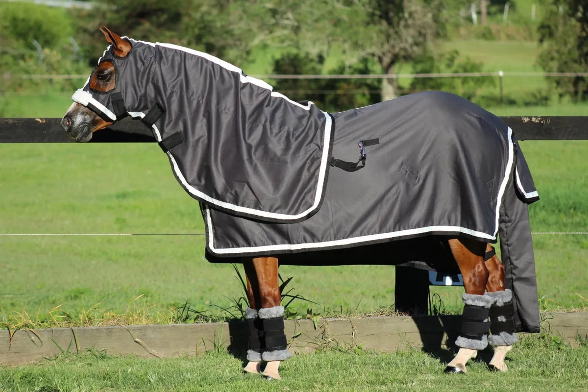 Gala Equine Summer Horse Rugs 6ft3 / Black Gala Equine Show Set with Surcingle with Platinum & Black Trim