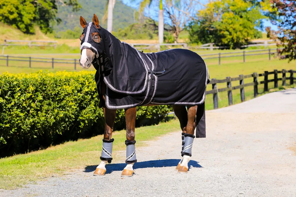 Gala Equine Summer Horse Rugs 6ft3 / Black Gala Equine Show Set with Surcingle with Platinum & Black Trim