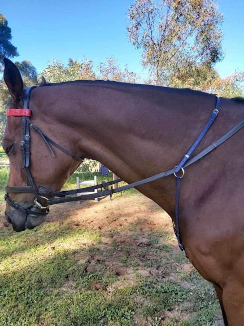 Gympie Saddleworld Breastplates & Martingales Black / Cob PVC Martingale Stabilizer