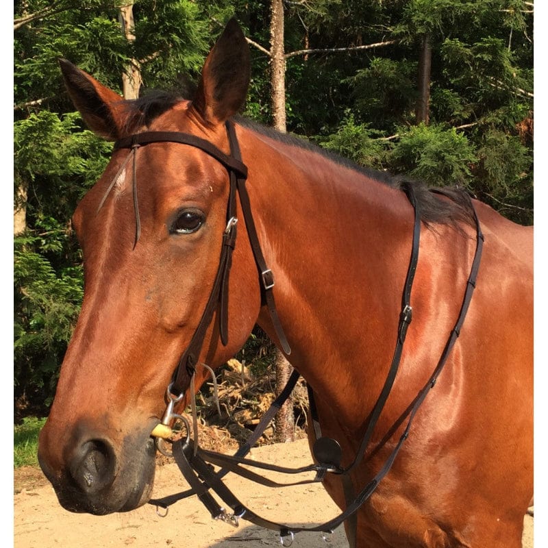 Gympie Saddleworld Breastplates & Martingales Black Market Harborough Martingale