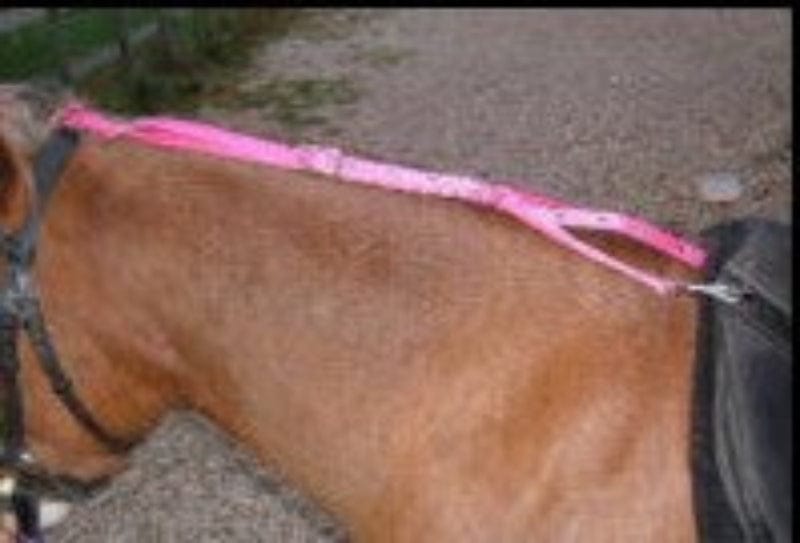 Gympie Saddleworld & Country Clothing Reins Shetland / Pink Daisy Rein