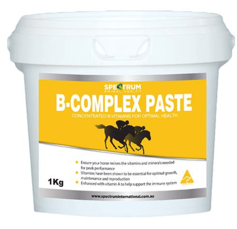 Gympie Saddleworld & Country Clothing Vet & Feed 1kg B-Complex Paste