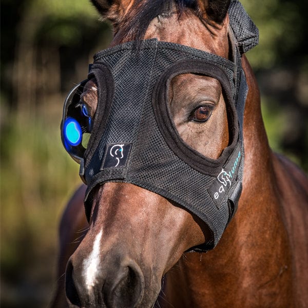 Gympie Saddleworld Stable & Tack Room Accessories Full Equilume Belfield Light Mask (Seasonal) (7 DAYS UNTIL DISPATCH)