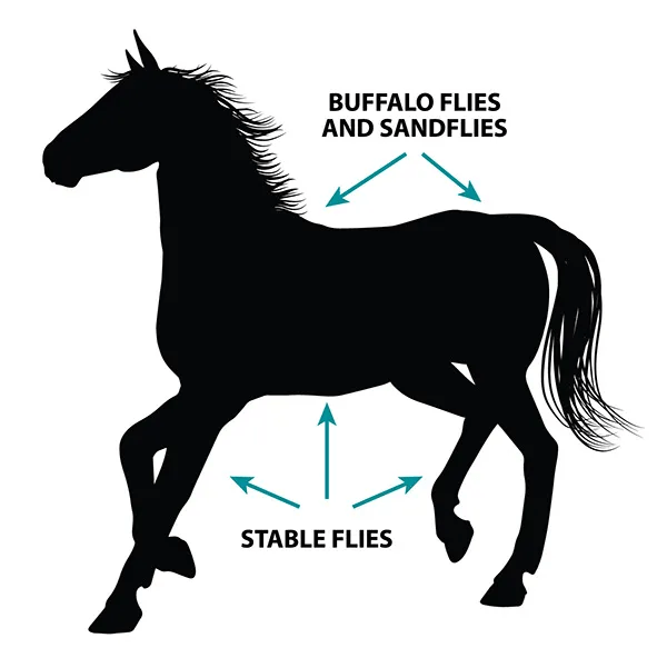 Gympie Saddleworld Vet & Feed 120g Flyscreen Pour on for Horses