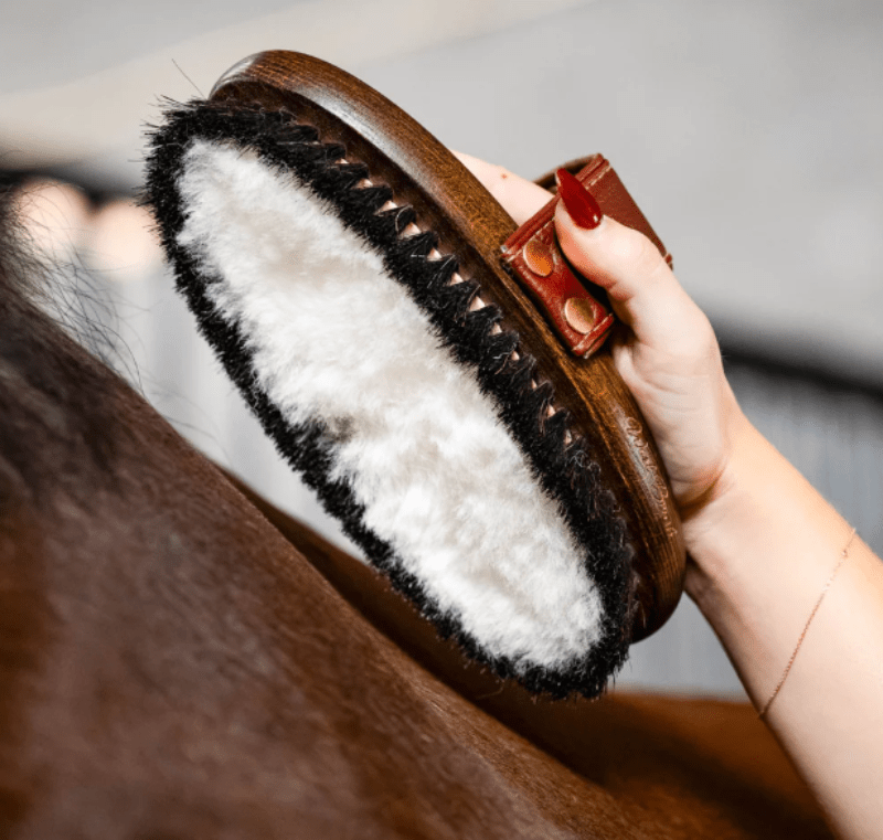 Hairy Pony Grooming Hairy Pony Brush Wool
