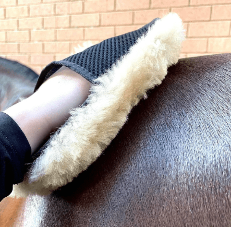Hairy Pony Grooming Hairy Pony Polishing Mitt Merino Wool