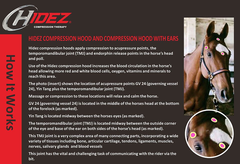 Hidez Fly Masks & Bonnets Hidez Compression Hood With Zipper NO ears