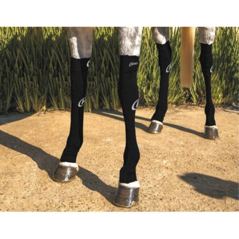 Hidez Horse Boots & Bandages Black / M Hidez Compression Socks Hind