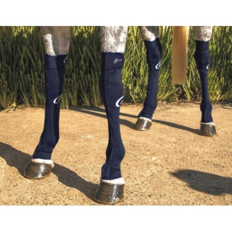 Hidez Horse Boots & Bandages M / Black Hidez Compression Socks Front