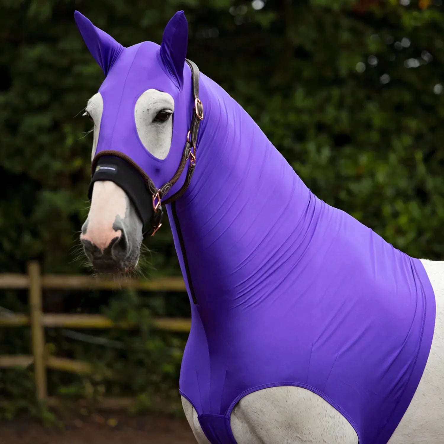Horze Hoods Horse Rug Accessories 2XS / Purple Horze Hoods Skinny Hood with Ears