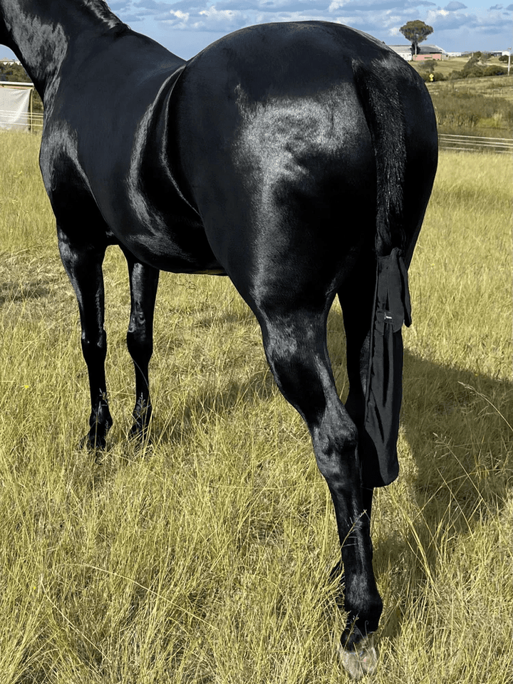 Horze Hoods Horse Rug Accessories Black Horzehood Lycra Tailbag