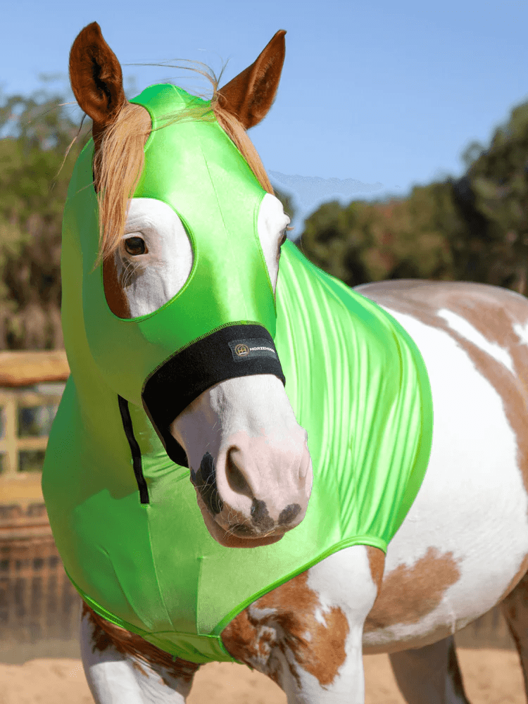 Horze Hoods Horse Rug Accessories Horze Skinny Hood NO Ears