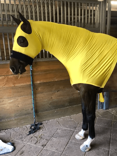 Horze Hoods Horse Rug Accessories Horze Skinny Hood NO Ears