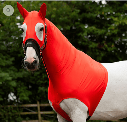 Horze Hoods Horse Rug Accessories L / Red Horze Skinny Hood with Ears