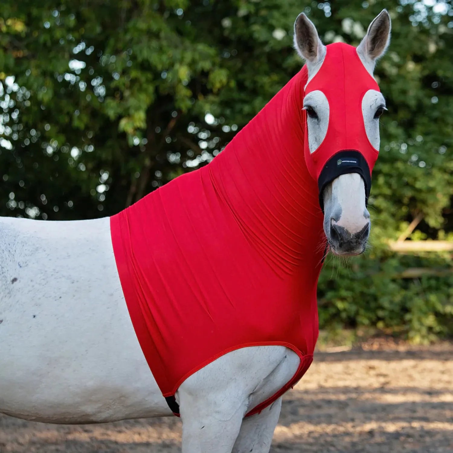 Horze Hoods Horse Rug Accessories M / Red Horze Hoods Skinny Hood with NO Ears