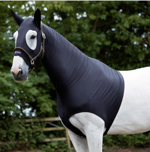 Horze Hoods Horse Rug Accessories XS / Black Horze Skinny Hood with Ears
