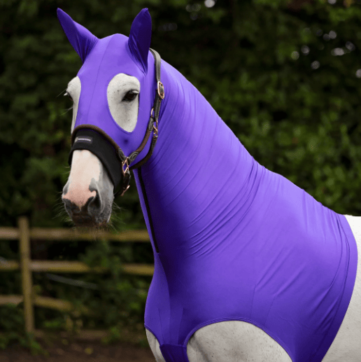 Horze Hoods Horse Rug Accessories XS / Purple Horze Skinny Hood with Ears