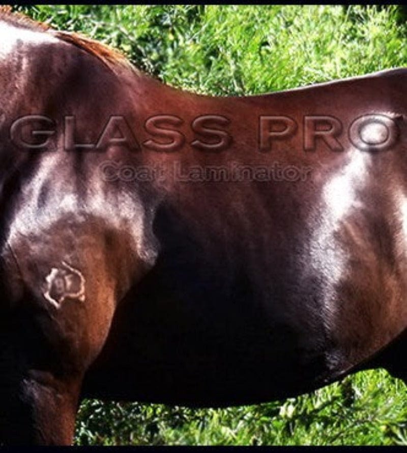 HSE Vet & Feed HSE Glass Pro Coat Laminator