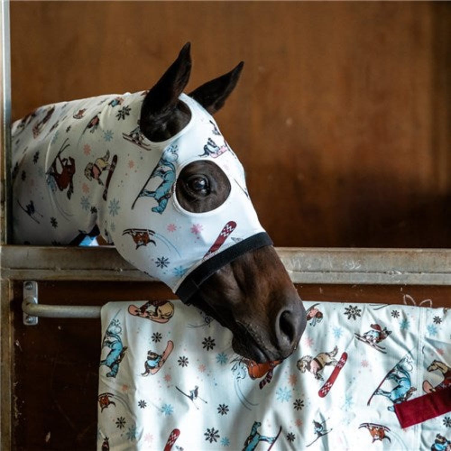 Kozy Horse Rug Accessories Lycra Skinny Hood Ski Slopes